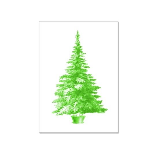 Postkarte Tannenbaum